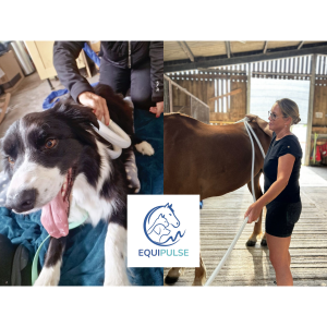 15% Off Your Pets First Treatment