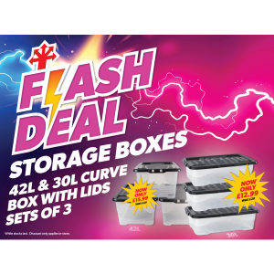 Flash Deal on Storage Boxes