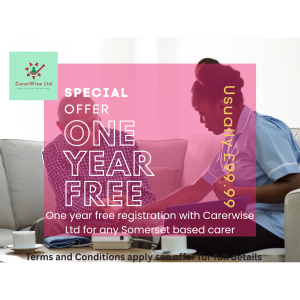 One Year Free Registration