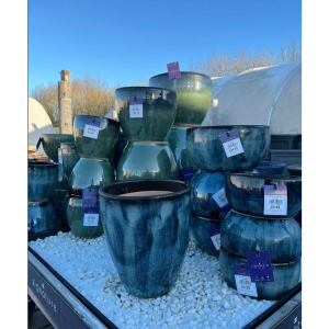 🥳 Our huge range of lovely pots are 25% off with your New Year Discount Vouchers. Also included is every single plant, from houseplants to pleached trees, via olive trees and salvias, composts, tools and sundries.