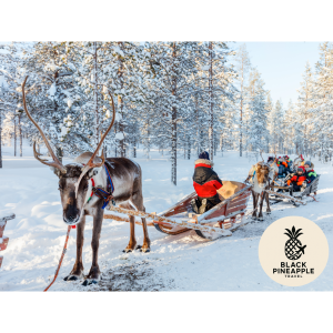 🎅🏼LAPLAND 2027 IS NOW ON SALE 🎅🏼