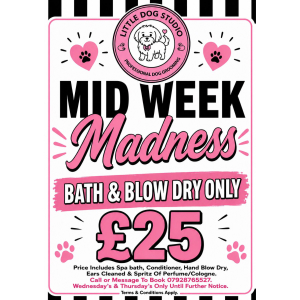 Midweek Madness Bath & Blow Dry £25 Offer at Little Dog Studio Cheslyn Hay