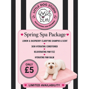 Luxury Spa Package Upgrade - Only £5 at Little Dog Studio Cheslyn Hay