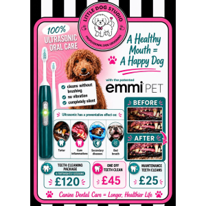 Dog Teeth Cleaning from £25 at Little Dog Studio, Cheslyn Hay