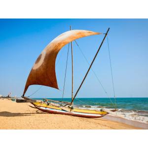 Discover the Flavours of Sri Lanka