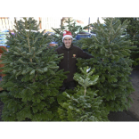 10% OFF CHRISTMAS TREES