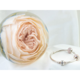 Wedding Day Bridal Bouquet Flower Preservation Package