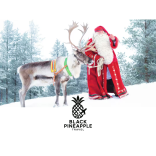 Experience the magic of Lapland for less with Black Pineapple Travel