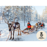 🎅🏼LAPLAND 2027 IS NOW ON SALE 🎅🏼