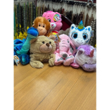 Summer Holiday Teddy Offer at Mandy's Jewellery & Gifts