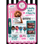 Dog Teeth Cleaning from £25 at Little Dog Studio, Cheslyn Hay