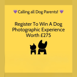 Register to Win a Dog Photography Experience with John Cooper Pet Photography 🐶 📸