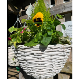 Autumn Hanging Baskets and More…