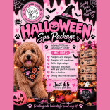 🎃👻 Halloween Spa Package at Little Dog Studio! 👻🎃