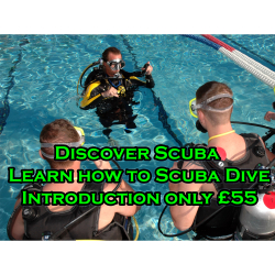 Stuck for a Perfect Gift  - Save over 22% on Scuba Diving Lessons only £55