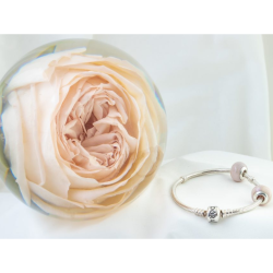 Wedding Day Bridal Bouquet Flower Preservation Package