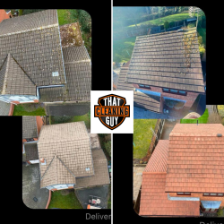 Domestic Roof Cleans from just £250