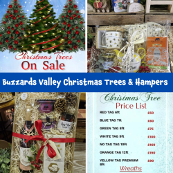 🎄 Buzzards Valley Christmas Trees & Bespoke Hampers – Now Available!