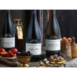 Wine Tasting Experience