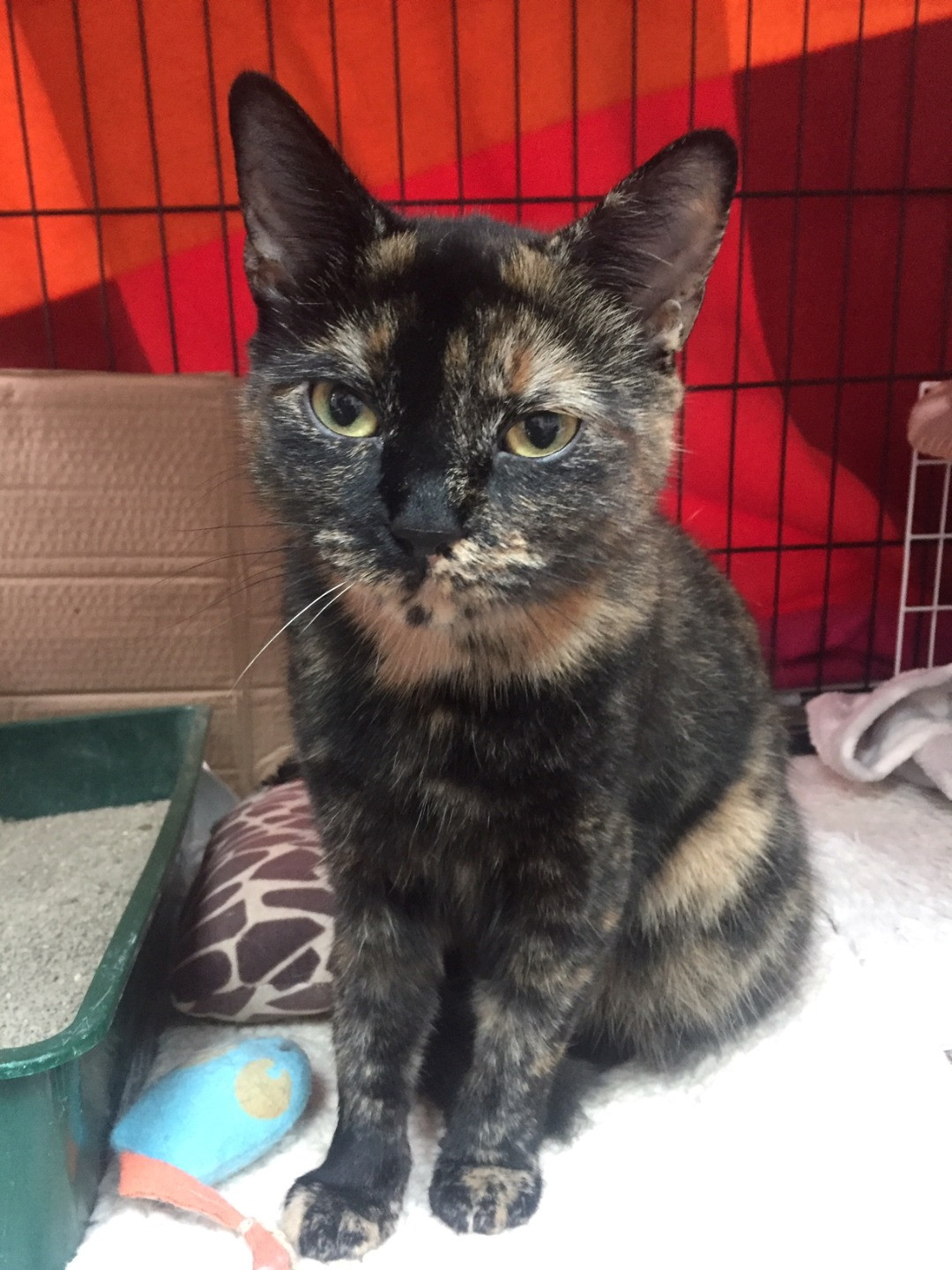 6983776afb70e73750428168