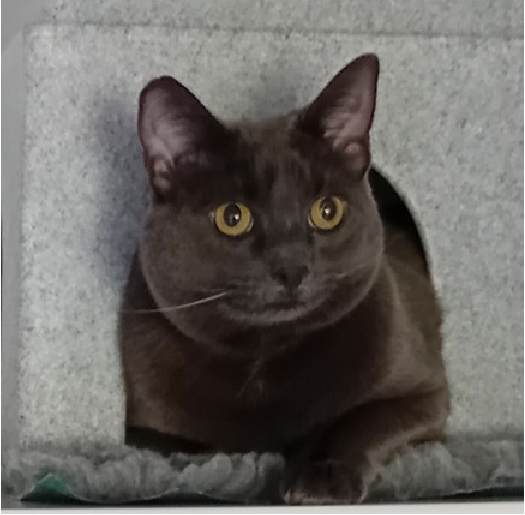 69ce732afb70e77f8e3e5924