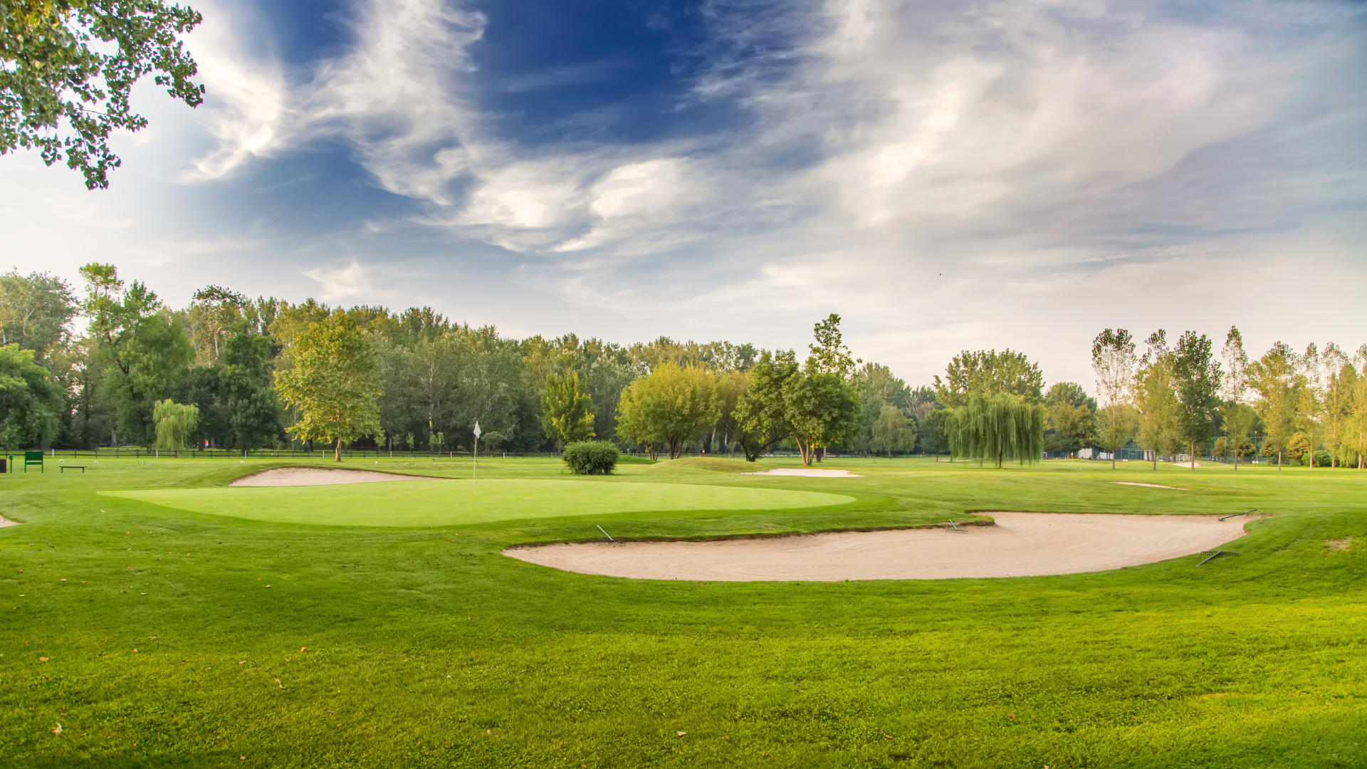 695e5f6c0a6f6c79e80aa99f