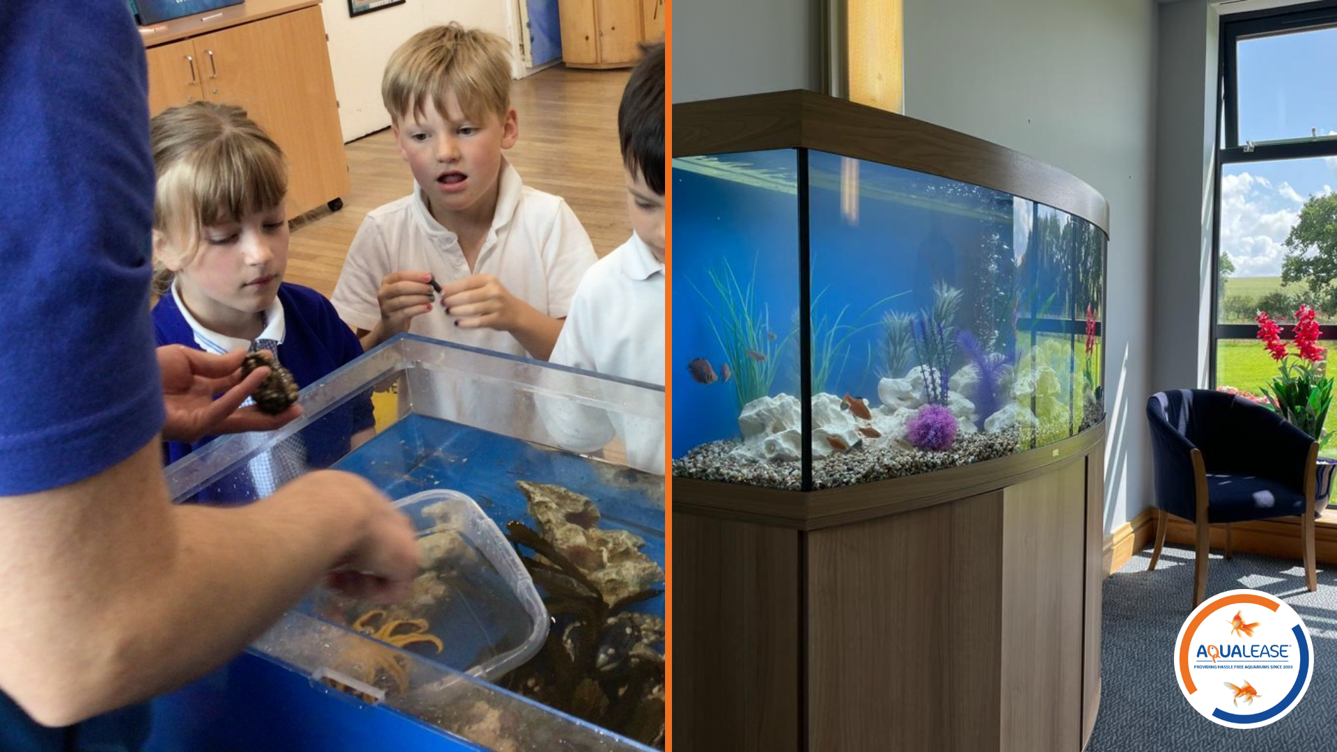 69a85d510a6f6c5fa54558cd