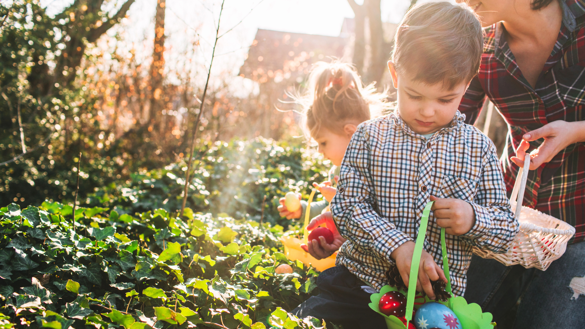 69c3fb650a6f6c610e712d43