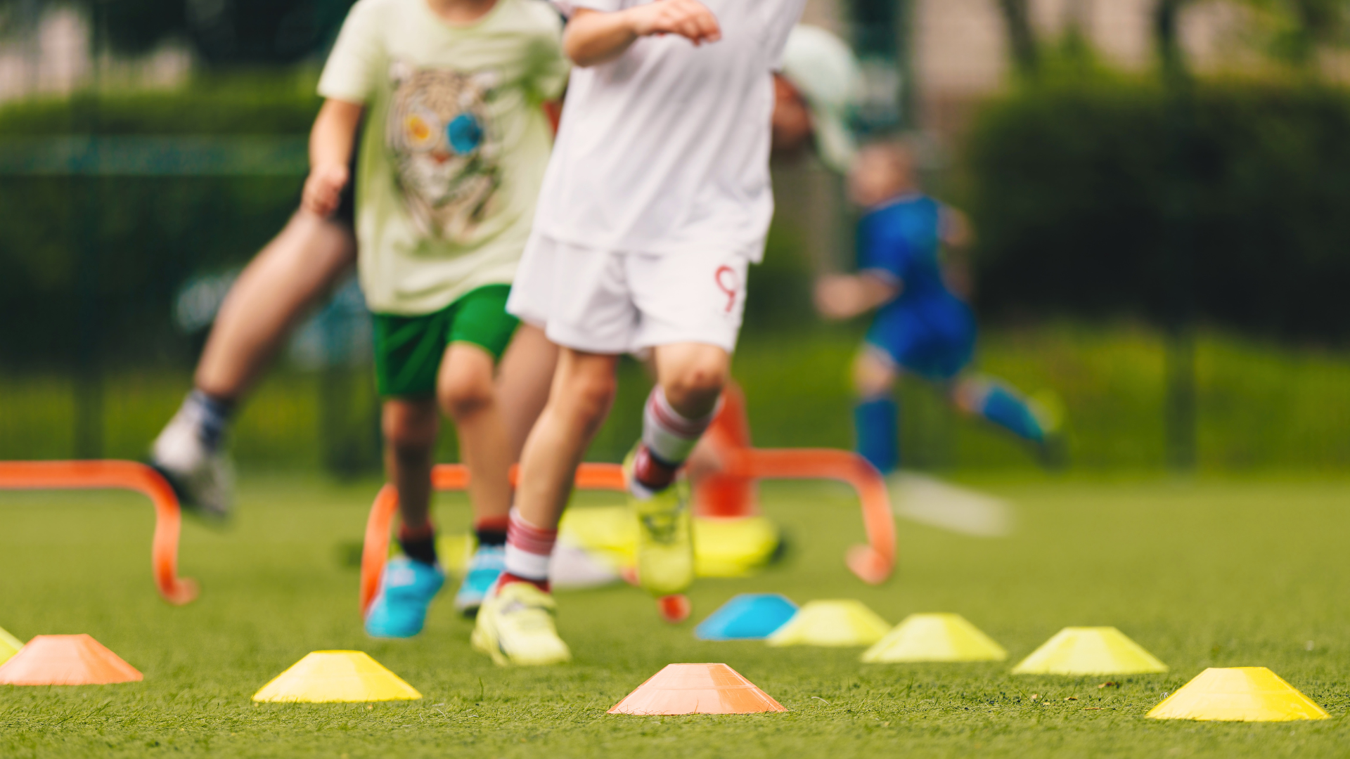 69c3fb7d0a6f6c610d664bf1