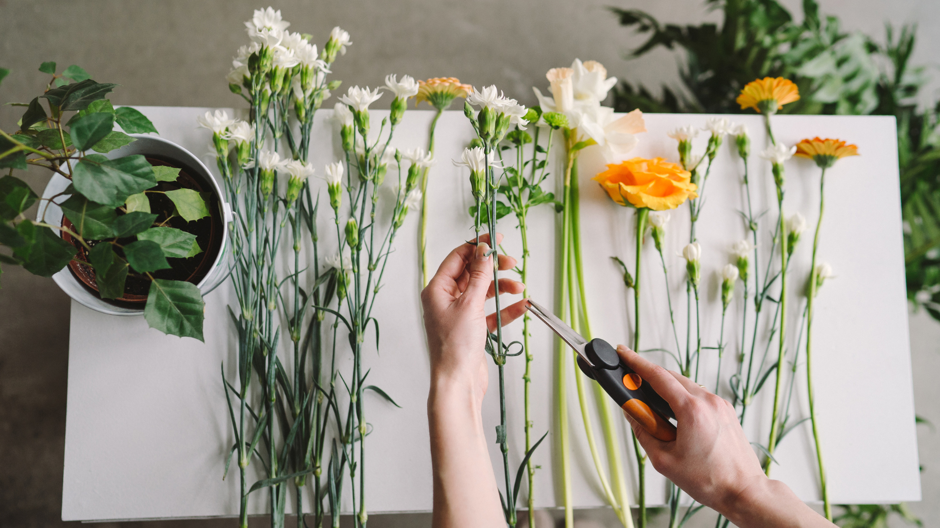 69ca800efb70e746112c1679