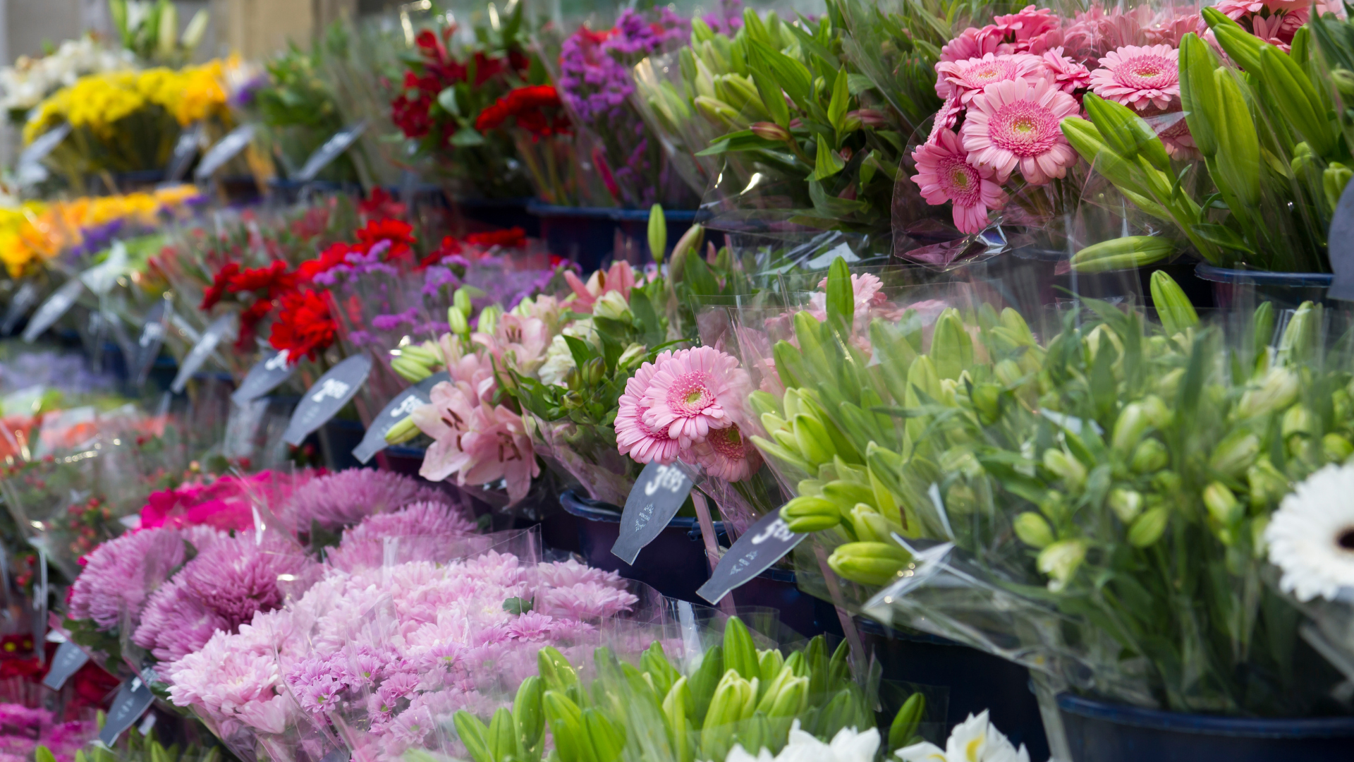 69ca8022fb70e73287295d6f