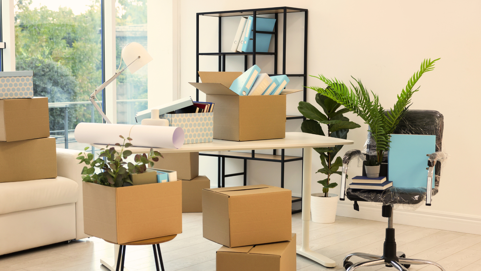 69e23dd10a6f6c163c4b5019