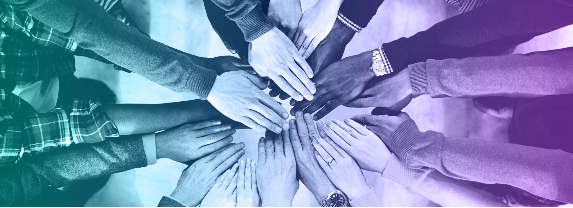 698a0492fb70e745c427ed09