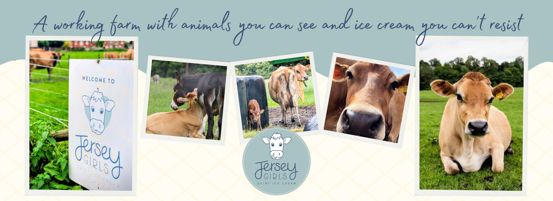 698a1039fb70e745a8582e0c