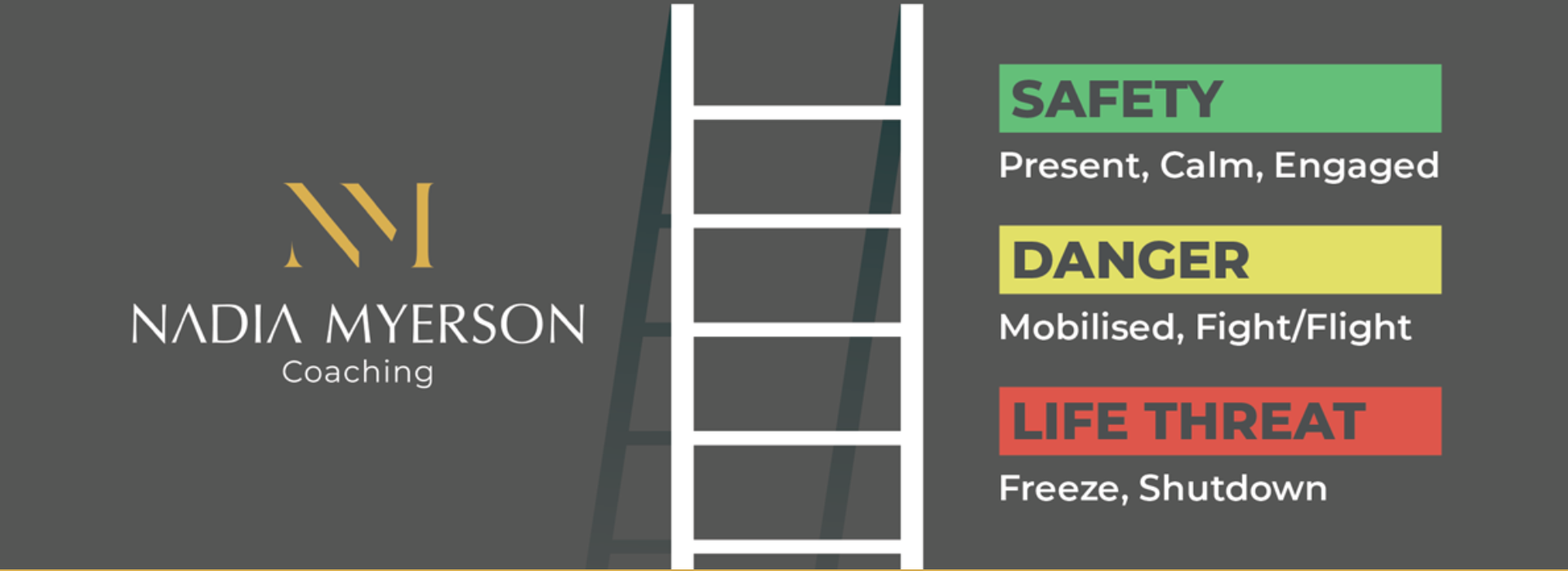 699c8d2dfb70e738c002171e