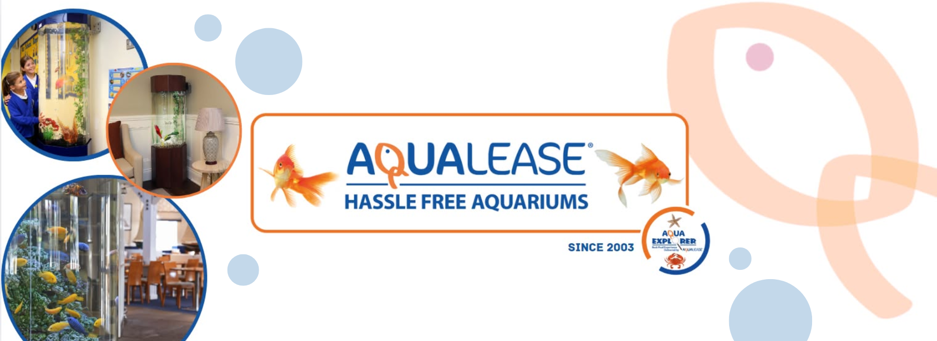 699efa38fb70e718f54e40af