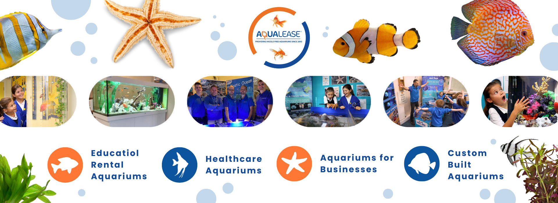 699efa4cfb70e7169923c36b