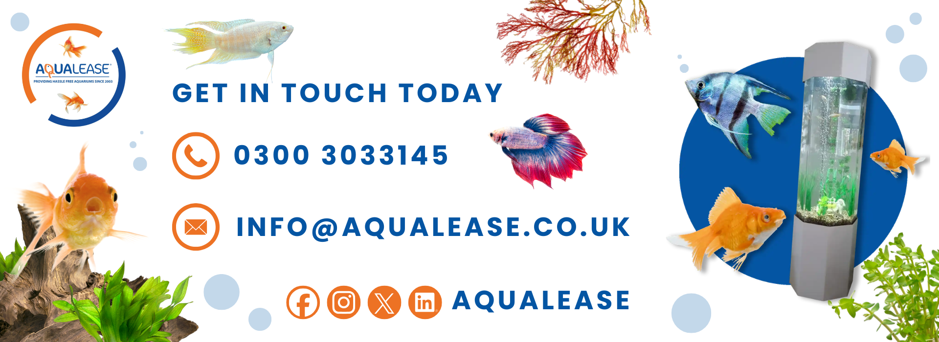 699efa64fb70e7525a28e315