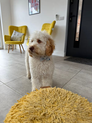 6920696f0a6f6c7c2c713a24