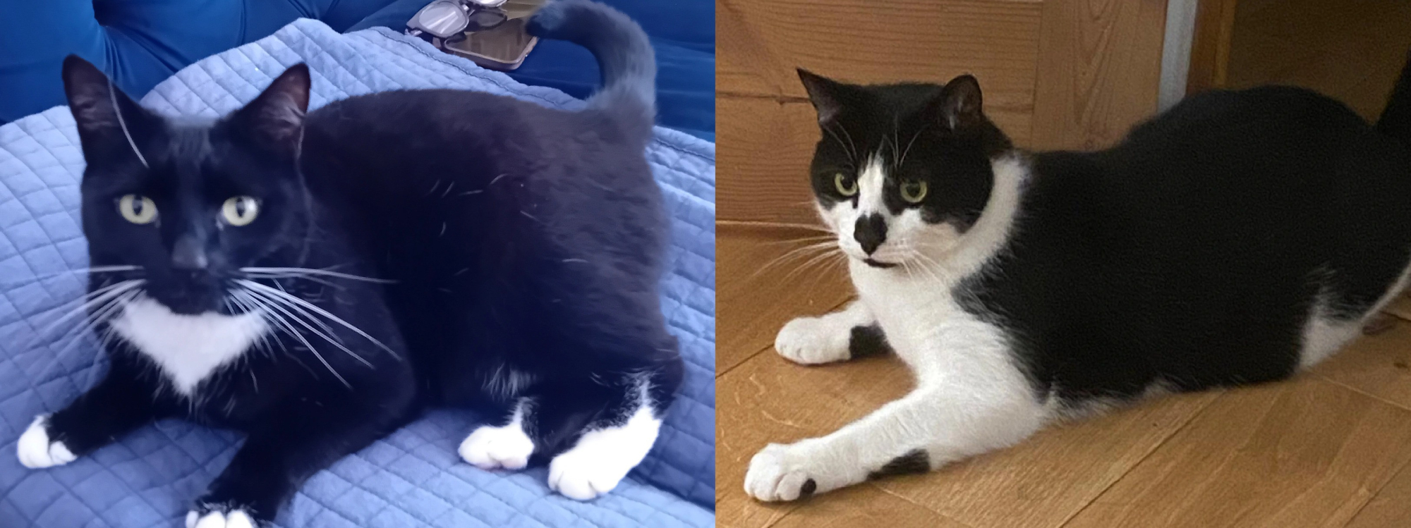 698377effb70e730d25764de