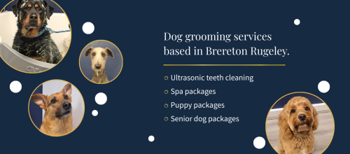 69bc1dd0fb70e77c4b6ba1d0