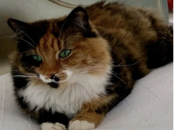 693b0de7fb70e70e1d6a3efc